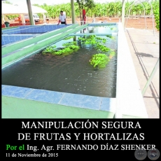 MANIPULACIN SEGURA DE FRUTAS Y HORTALIZAS - Ing. Agr. FERNANDO DAZ SHENKER - 11 de Noviembre de 2015